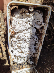termite treatment Donvale