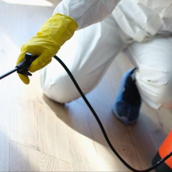 How Do Termite Treatment Chemicals Work