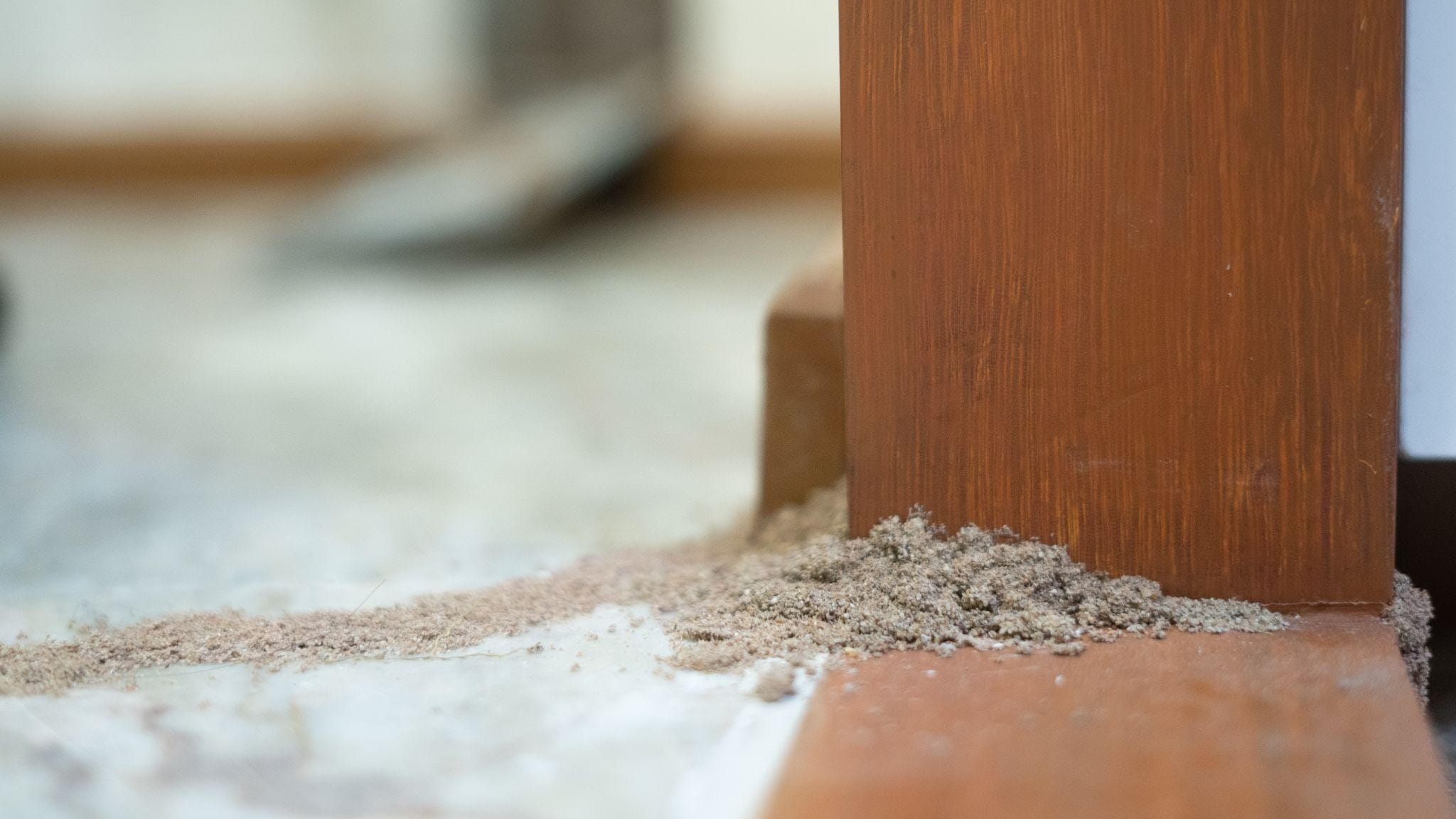 What Are the Signs of Termite Activity What Are the Signs of Termite Activity